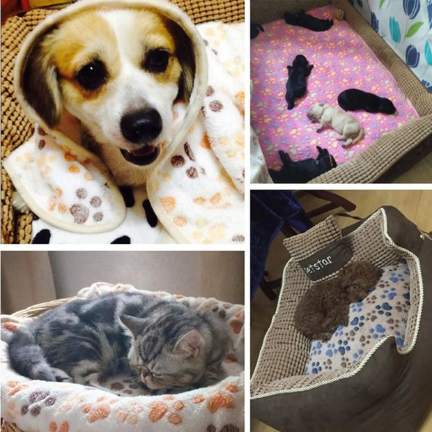 Pawfect Comfort | Cute Dog Blankets for Your Furry Friend